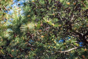 Similar image 13061692