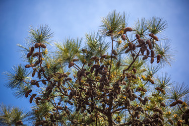 Similar image 13061693