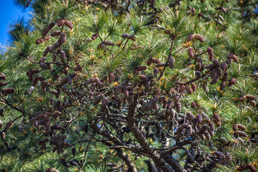 Similar image 13061694