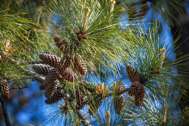 Similar image 13061695