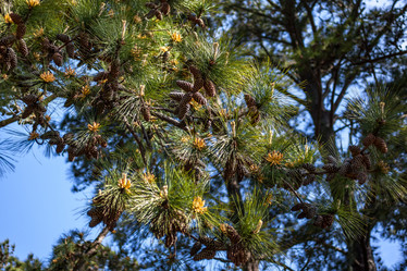 Similar image 13061696