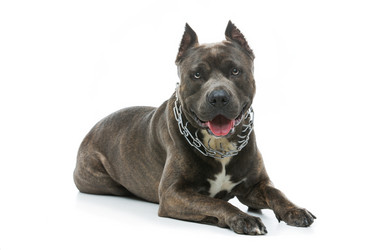 Similar image 13037199