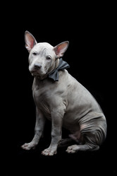 Similar image 13036155