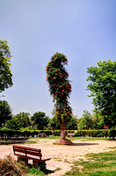 Similar image 13002393