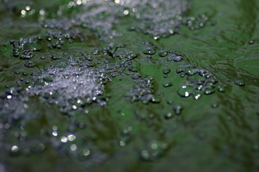 Similar image 13054575