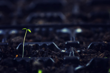 Similar image 13056178