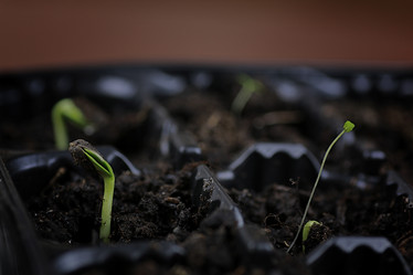 Similar image 13056098