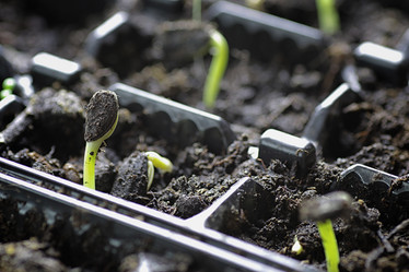 Similar image 13056159