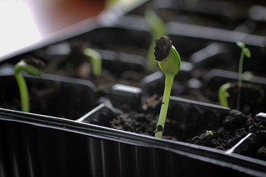 Similar image 13056200