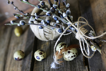 Similar image 13056660