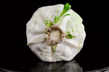 Similar image 13045202