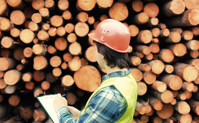 Similar image 13056841