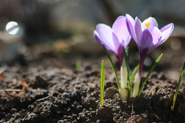 Similar image 13057712