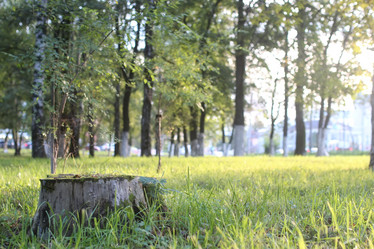 Similar image 13064757