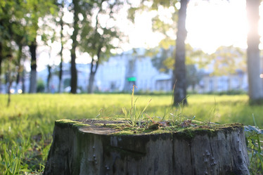 Similar image 13064777