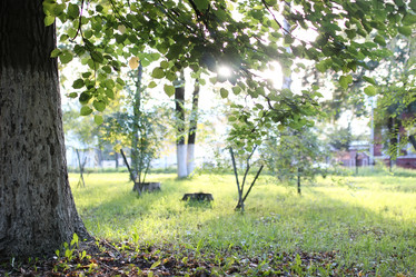 Similar image 13064817