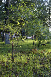 Similar image 13064877