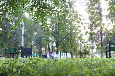 Similar image 13064915