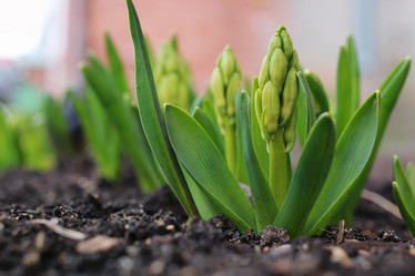 Similar image 13065094