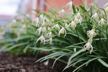 Similar image 13065129