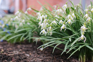 Similar image 13065148