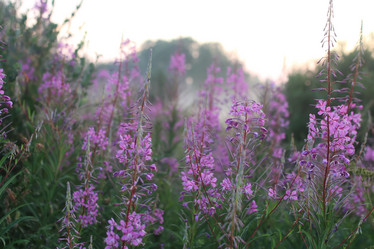 Similar image 13054990