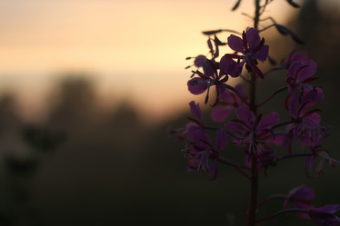 Similar image 13055070