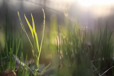 Similar image 13055272