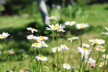 Similar image 13055371