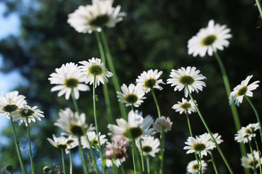 Similar image 13055432