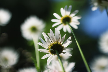 Similar image 13055472