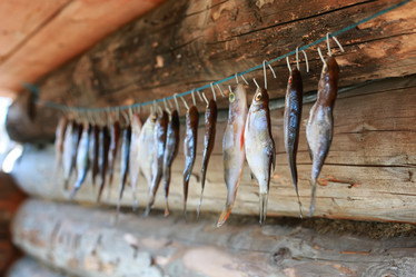 Similar image 13055587