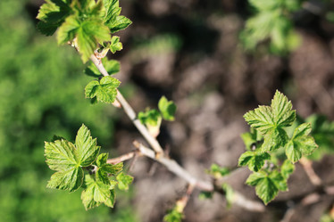 Similar image 13055688