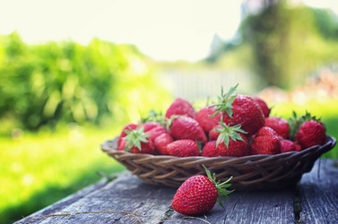 Similar image 13055744