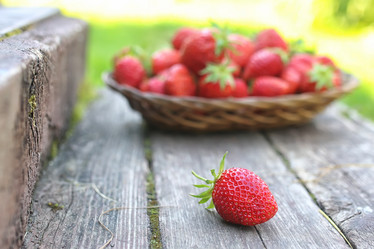 Similar image 13055839