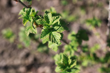 Similar image 13055725