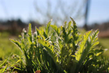 Similar image 13056041