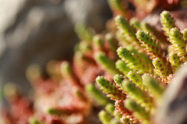 Similar image 13056118