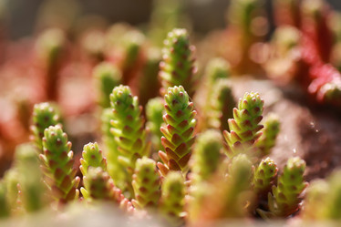 Similar image 13056141