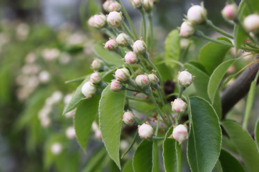 Similar image 13057613