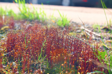 Similar image 13057634