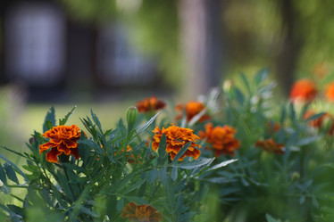 Similar image 13057476