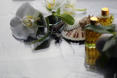 Similar image 13064697