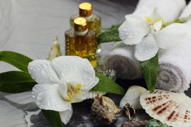 Similar image 13064828