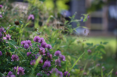 Similar image 13064935