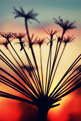 Similar image 13040331