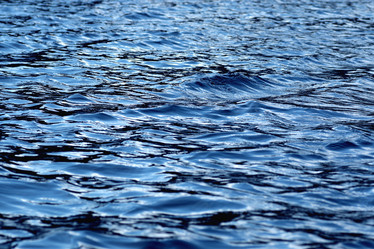 Similar image 13054395