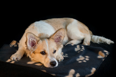 Similar image 13045619