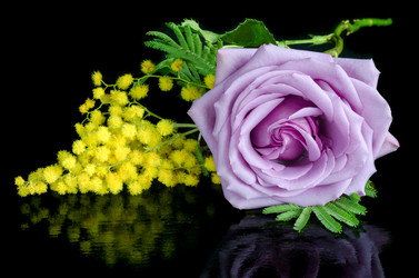 Similar image 13045620