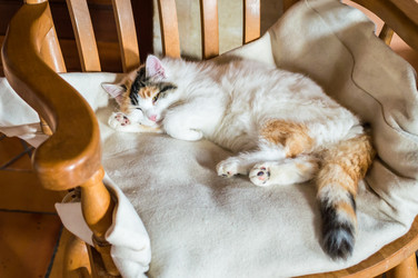 Similar image 13008037